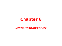 state responsibility 6.pdf